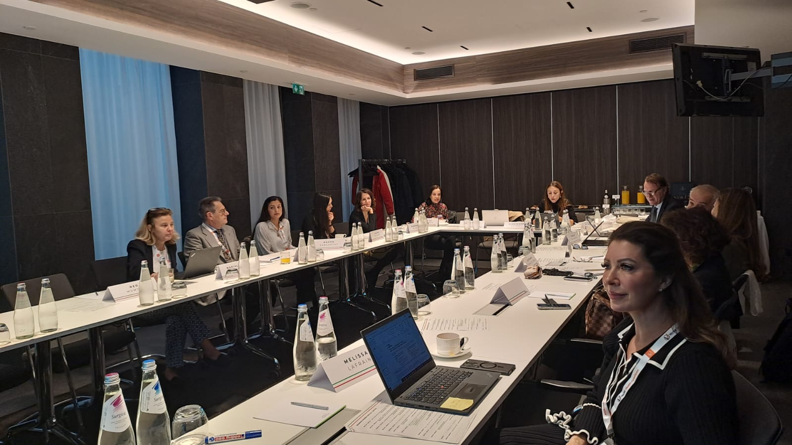 PHOTO-2024-10-14-18-44-07 (1) Global Sunshine Reporting for HCP Engagement, US and Italian Transparency Reporting, Sunshine Laws, and Pharmaceutical Compliance