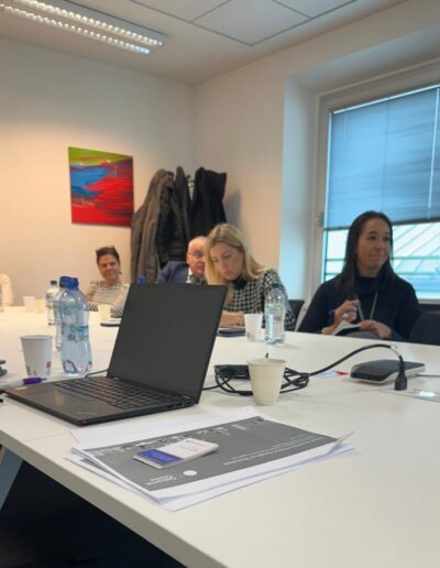 Global Sunshine Reporting for HCP Engagement, US and Italian Transparency Reporting, Sunshine Laws, and Pharmaceutical Compliance